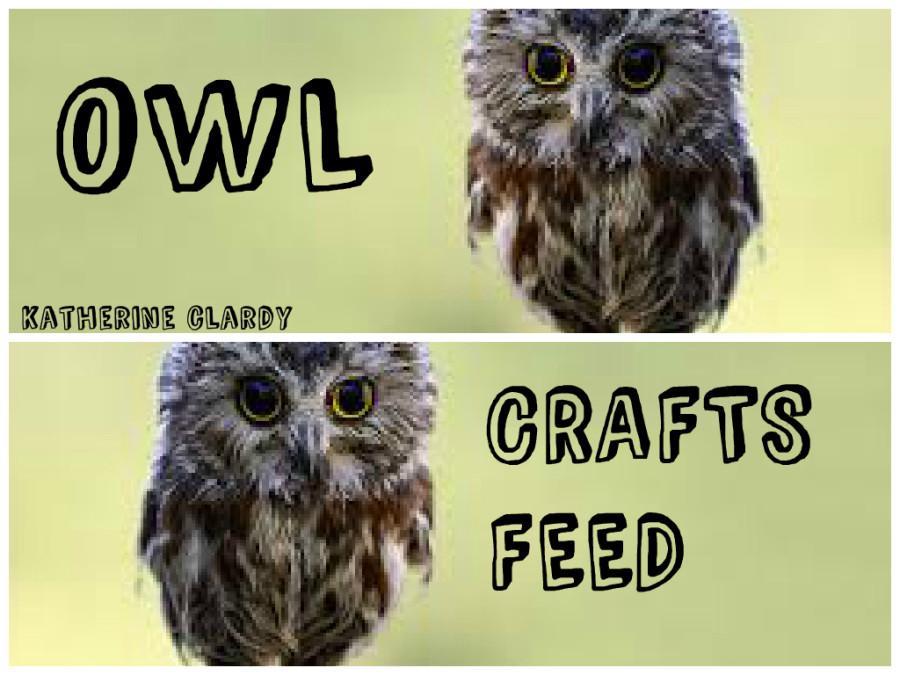 INTRODUCING OWL CRAFTSFEED!