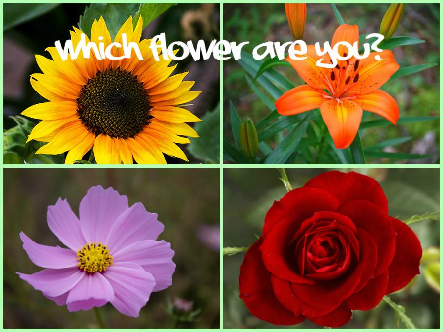 QUIZ: WHICH FLOWER ARE YOU?