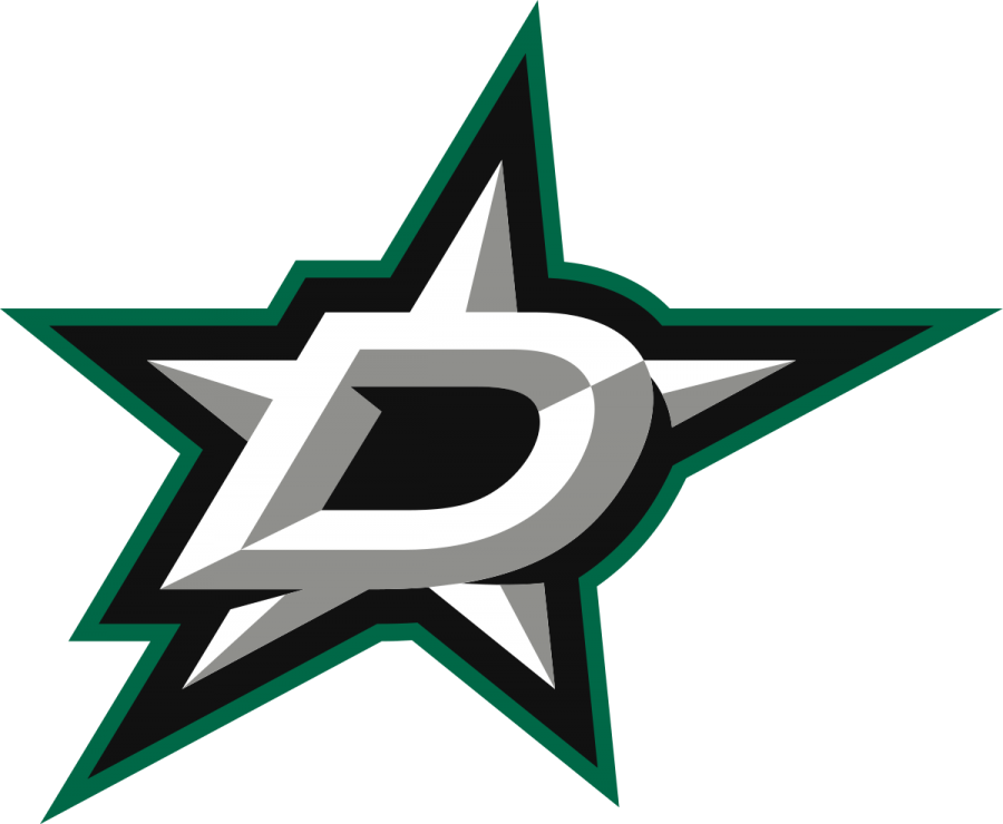 DALLAS STARS LOSE STANLEY CUP TO TAMPA BAY LIGHTNING