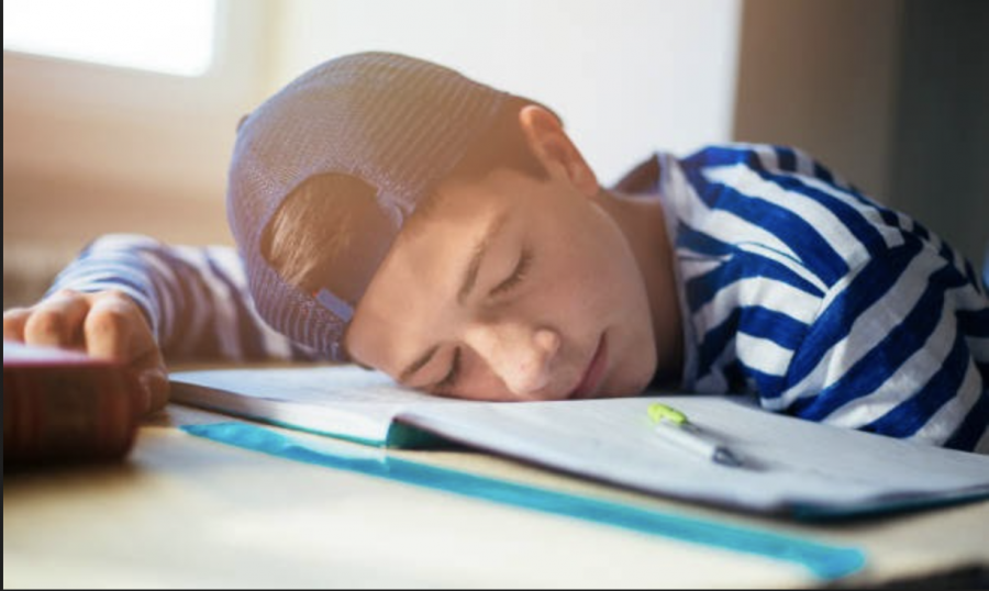 https://www.istockphoto.com/photo/teenage-boy-sleeping-on-the-notebook-gm1130694076-299124731