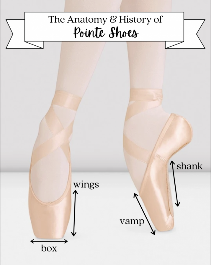 THE ANATOMY & HISTORY OF POINTE SHOES