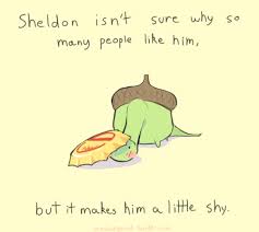 Sheldon2