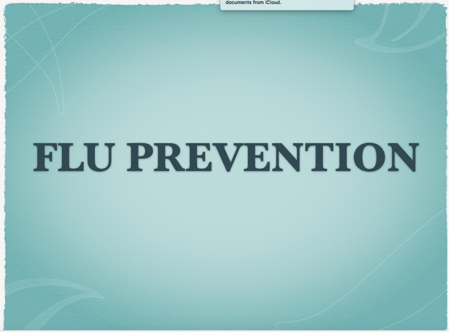 FLU PREVENTION