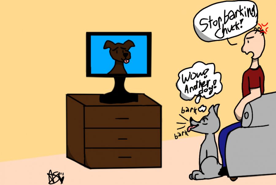 WHY DO DOGS WATCH TV?