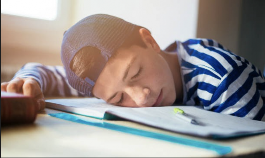 https%3A%2F%2Fwww.istockphoto.com%2Fphoto%2Fteenage-boy-sleeping-on-the-notebook-gm1130694076-299124731