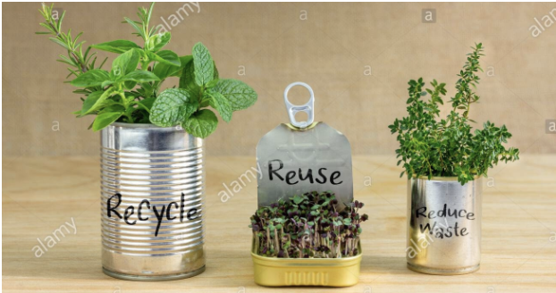 THE IMPORTANCE OF RECYCLING AND COMPOSTING