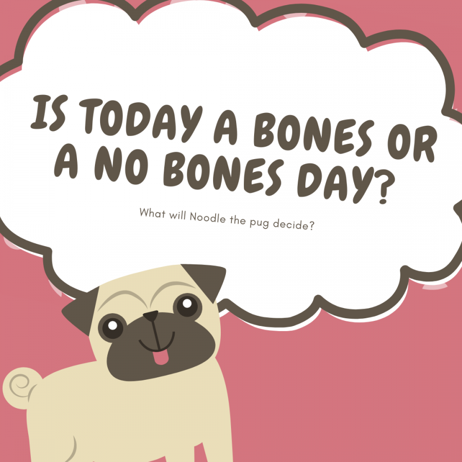 BONES DAY