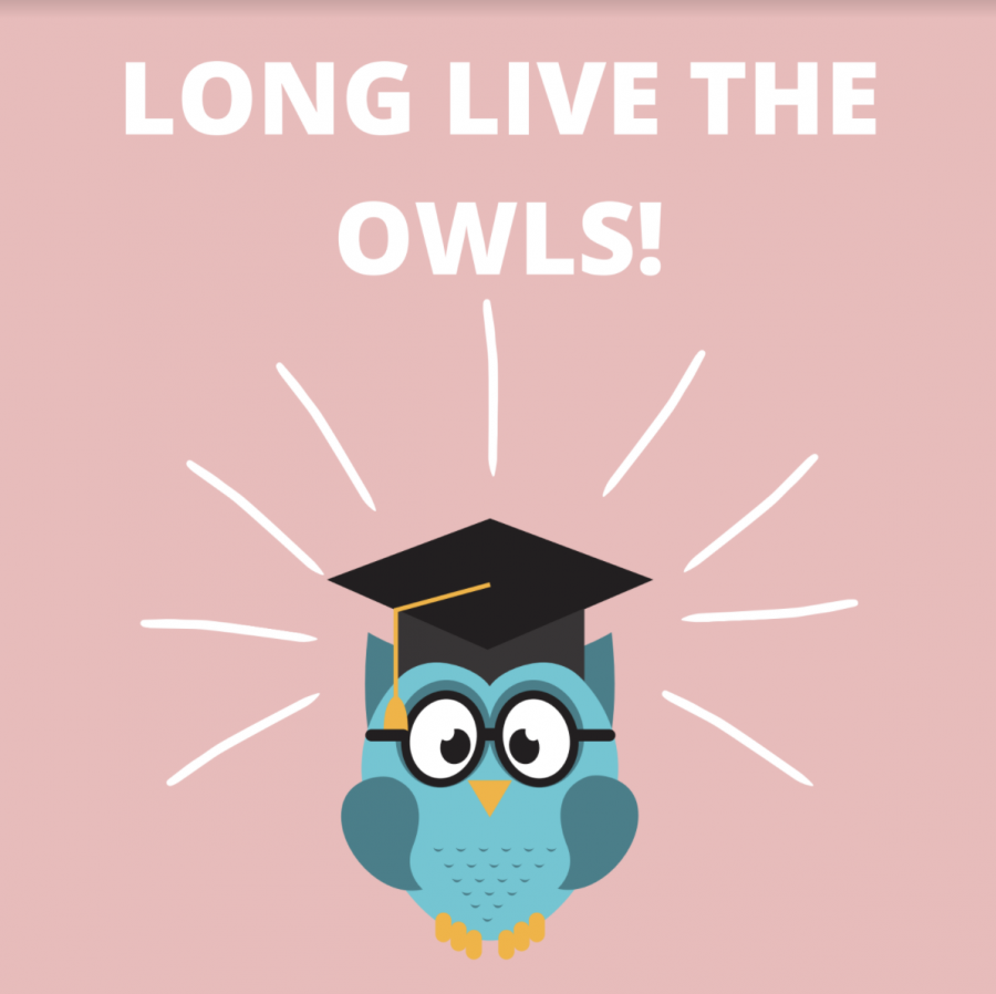 LONG+LIVE+THE+OWLS