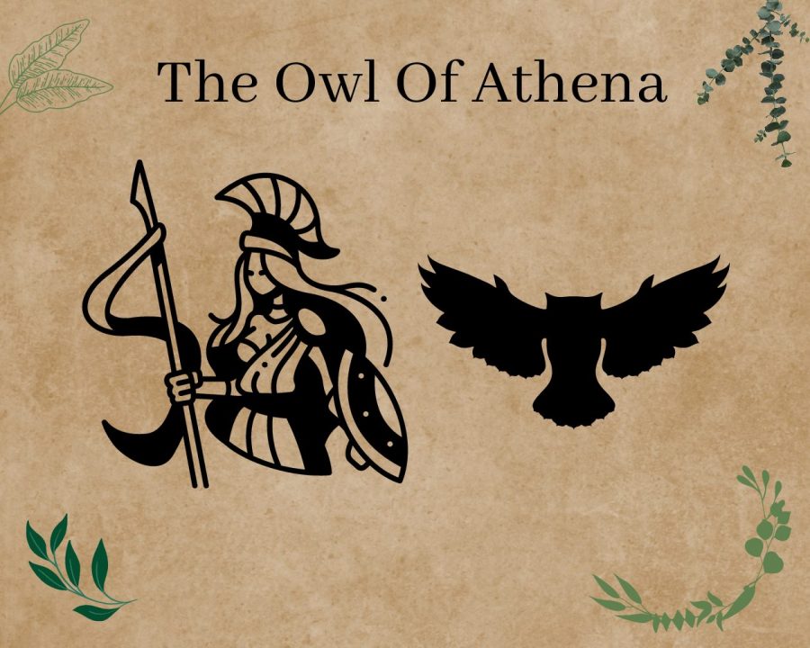 THE OWL OF ATHENA- THE MYTH BEHIND iUPS MASCOT