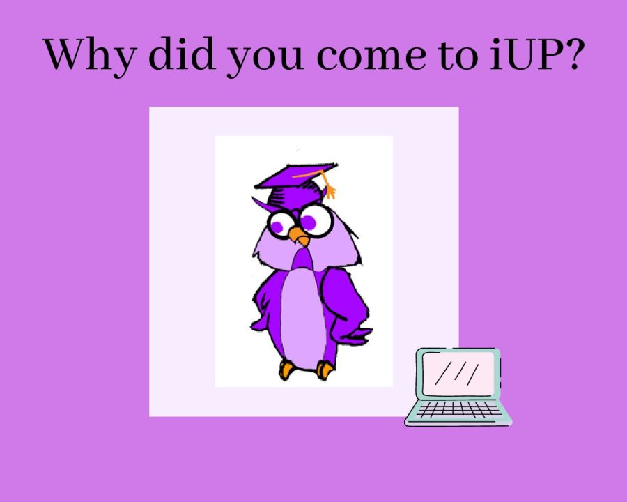 Why did you come to IUP graphic - MAKENNA HORNE (Student)
