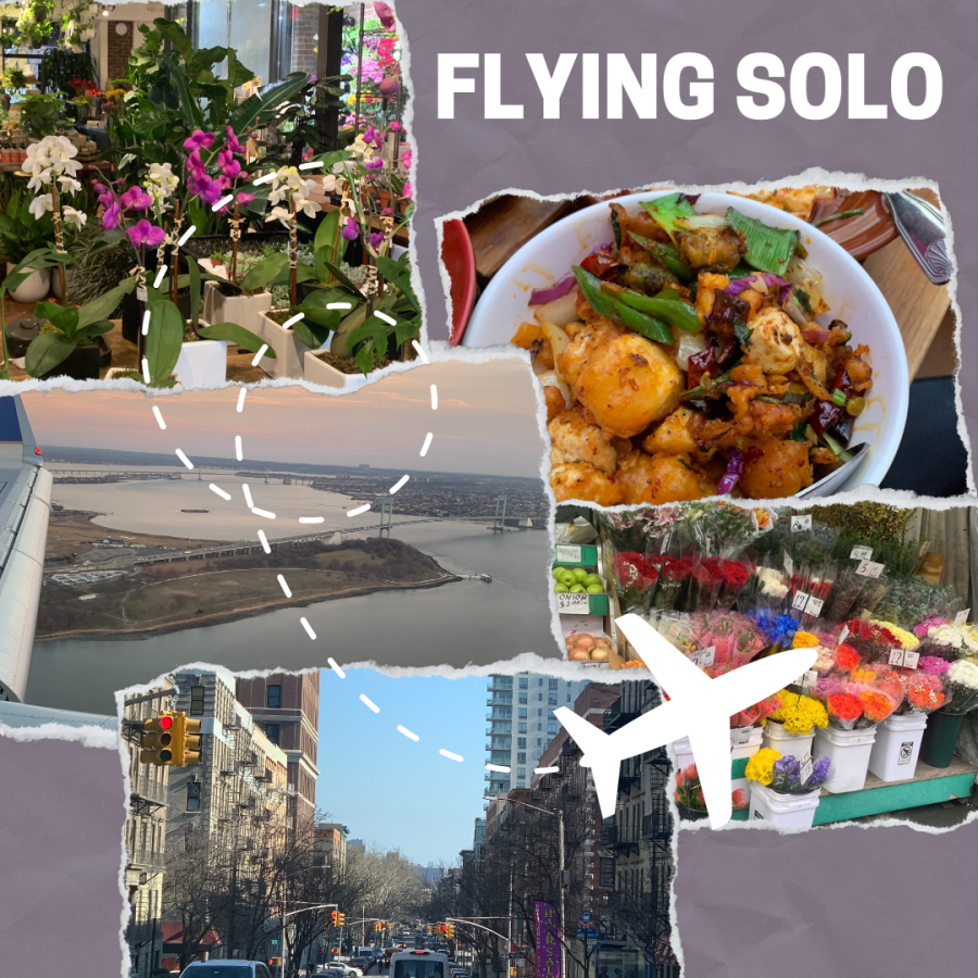 FLYING SOLO