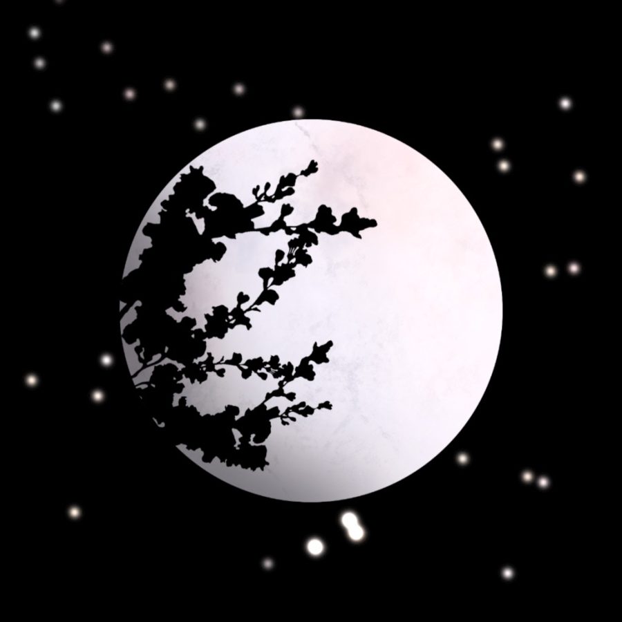 THE FLOWER MOON iHoot