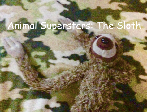 ANIMAL SUPERSTARS: THE SLOTH