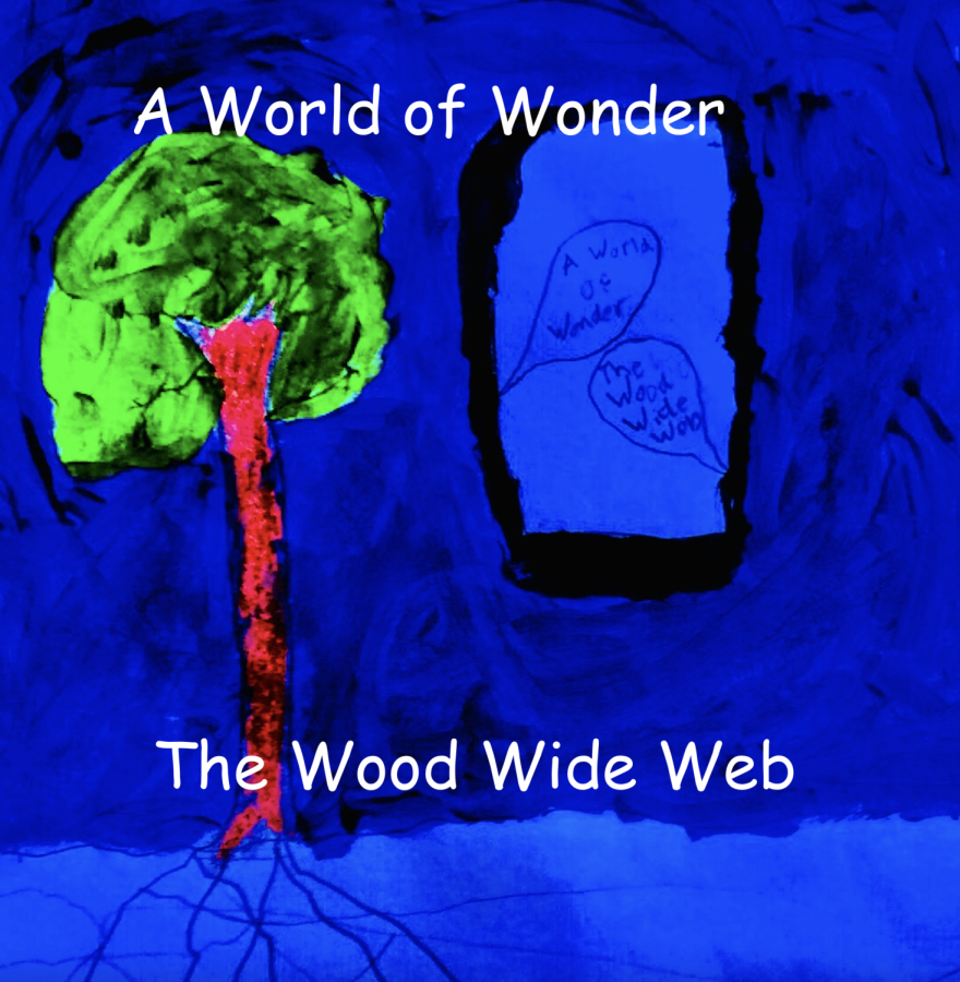 A WORLD OF WONDER: THE WOOD WIDE WEB