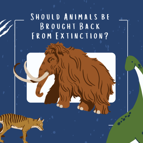 SHOULD ANIMALS BE BROUGHT BACK FROM EXTINCTION?