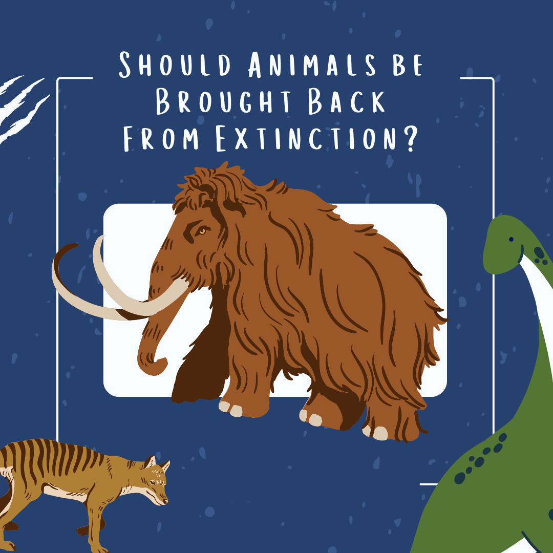 should-animals-be-brought-back-from-extinction-ihoot