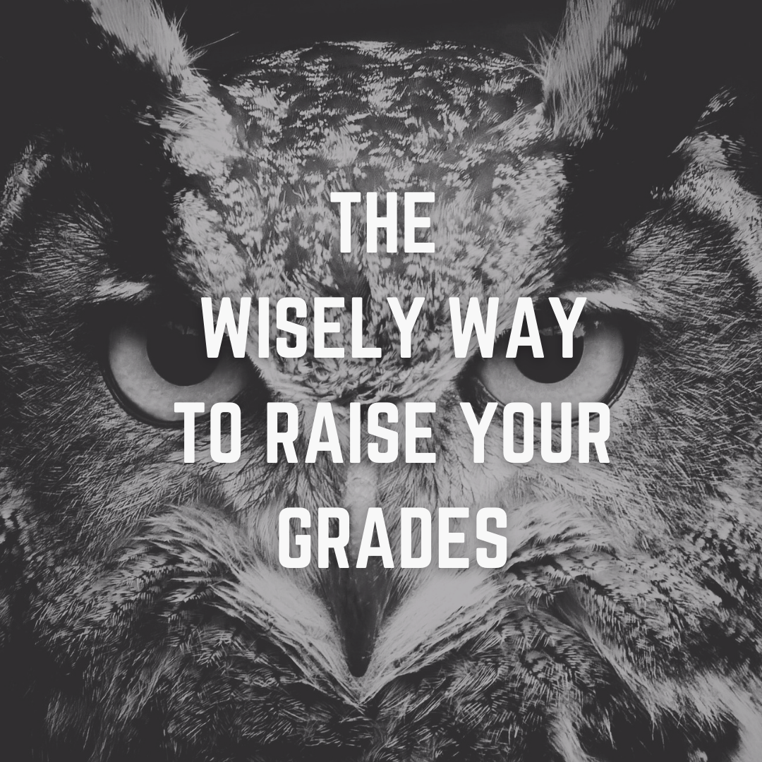 THE WISELY WAY TO RAISE YOUR GRADES