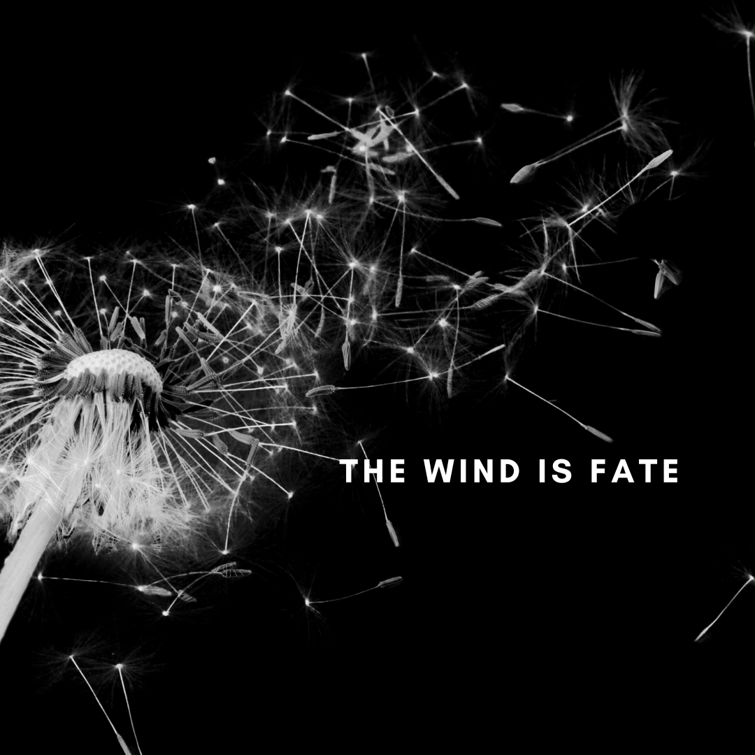 THE WIND IS FATE