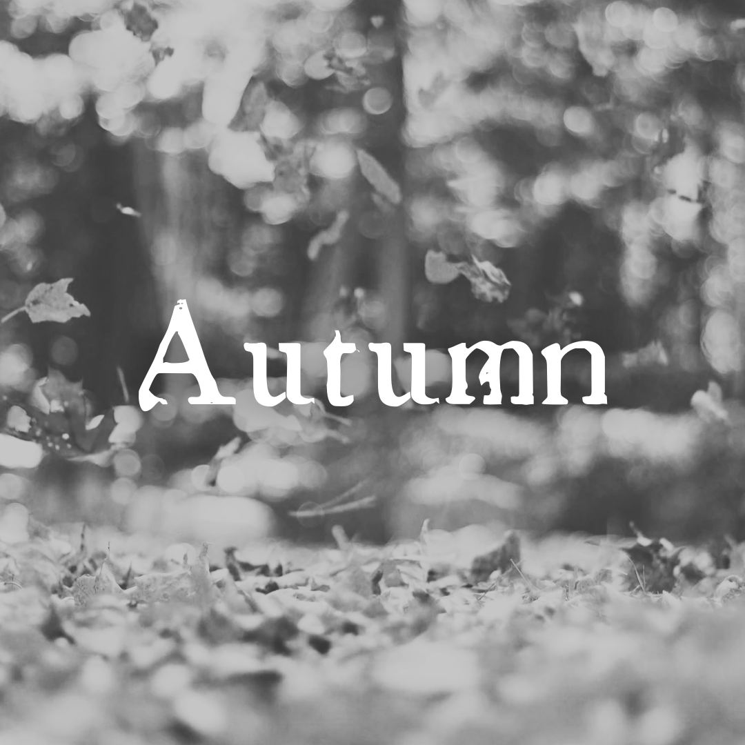 Autumn