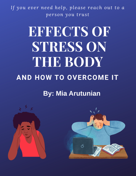 Effects of Stress on the Body and How To Overcome it
